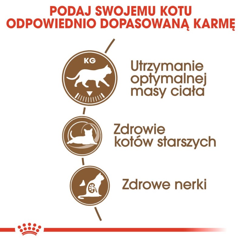 Royal Canin Senior Ageing Sterilised 12+ cats dry food 4 kg Corn, Poultry, Vegetable Royal Canin Senior Ageing Sterilised 12+ cats dry food 4 kg Corn, Poultry, Vegetable