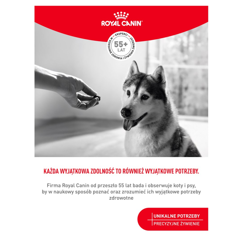 ROYAL CANIN Supplements Dog Joint & Ageing Adult - dog vitamins - 240g ROYAL CANIN Supplements Dog Joint & Ageing Adult - dog vitamins - 240g