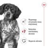ROYAL CANIN SHN Medium Adult - dry dog food - 15kg ROYAL CANIN SHN Medium Adult - dry dog food - 15kg