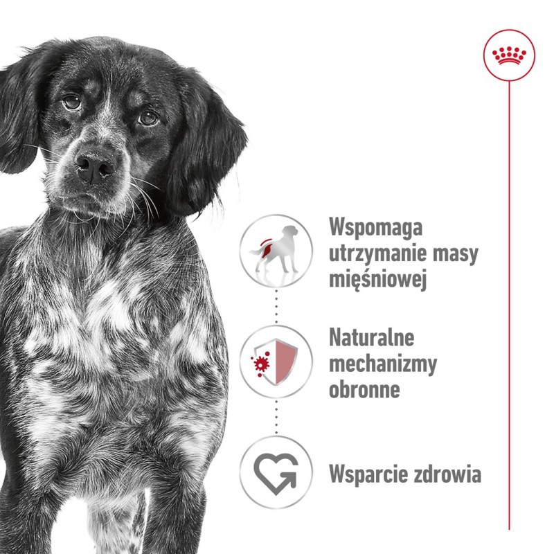 ROYAL CANIN SHN Medium Adult - dry dog food - 15kg ROYAL CANIN SHN Medium Adult - dry dog food - 15kg