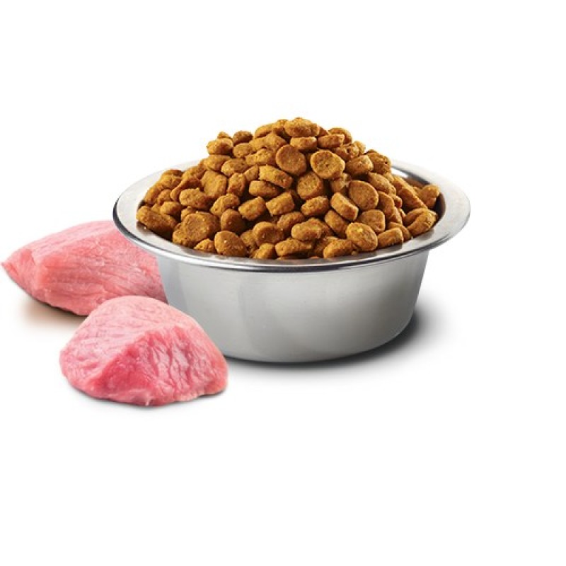 Farmina Pet Food 8010276033635 dogs dry food 2.5 g Adult Chicken Farmina Pet Food 8010276033635 dogs dry food 2.5 g Adult Chicken
