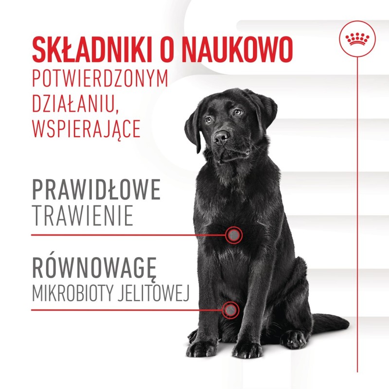 BULT Jelito cienkie wieprzowe dla psa 100g BULT Jelito cienkie wieprzowe dla psa 100g