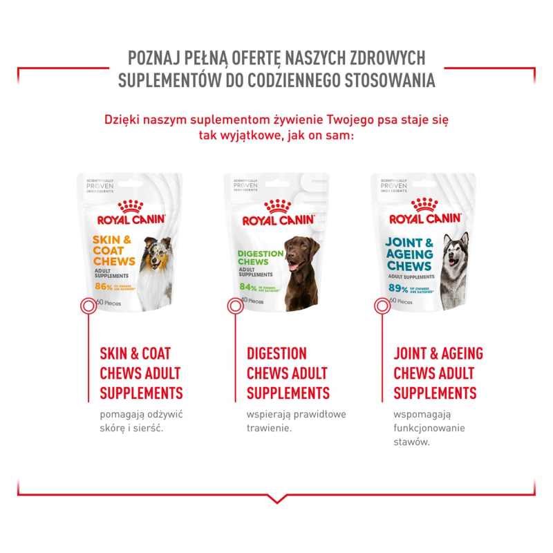 ROYAL CANIN Supplements Dog Immunity & Digest Puppy - dog vitamins - 100g ROYAL CANIN Supplements Dog Immunity & Digest Puppy - dog vitamins - 100g