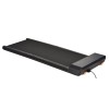 Electric treadmill Kingsmith WALKING PAD WPA1F PRO Electric treadmill Kingsmith WALKING PAD WPA1F PRO