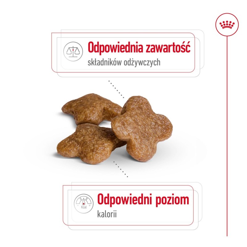 Royal Canin Mini Adult 8+ 8 kg Senior Poultry, Rice, Vegetable Royal Canin Mini Adult 8+ 8 kg Senior Poultry, Rice, Vegetable