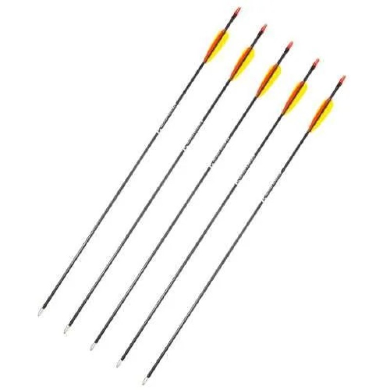 Poe Lang 28’ fibreglass arrows - set of 5 (D-055-B3) Poe Lang 28’ fibreglass arrows - set of 5 (D-055-B3)