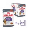 ROYAL CANIN Appetit Control pieces in sauce - wet cat food - 12 x 85g ROYAL CANIN Appetit Control pieces in sauce - wet cat food - 12 x 85g