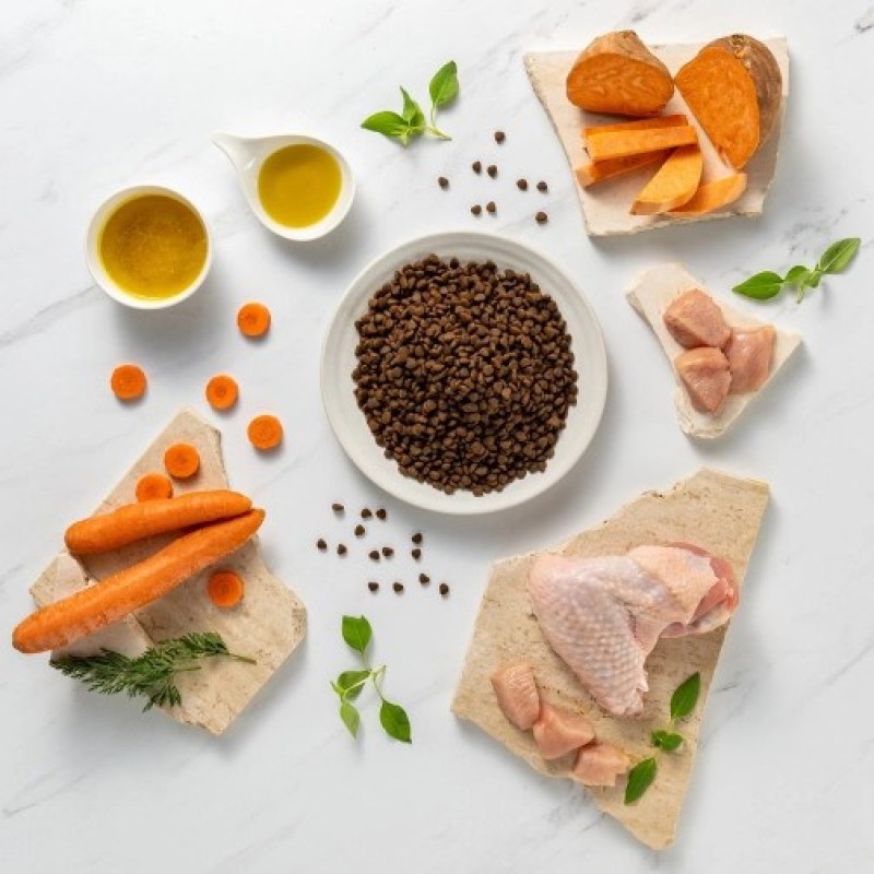 RAW PALEO Ultra Mini Puppy Turkey - dry food for puppies - 750 g RAW PALEO Ultra Mini Puppy Turkey - dry food for puppies - 750 g