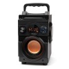 SQUEAK SPEAKER BASSBLASTER BLUETOOTH 5.1 SQ1001 SQUEAK SPEAKER BASSBLASTER BLUETOOTH 5.1 SQ1001