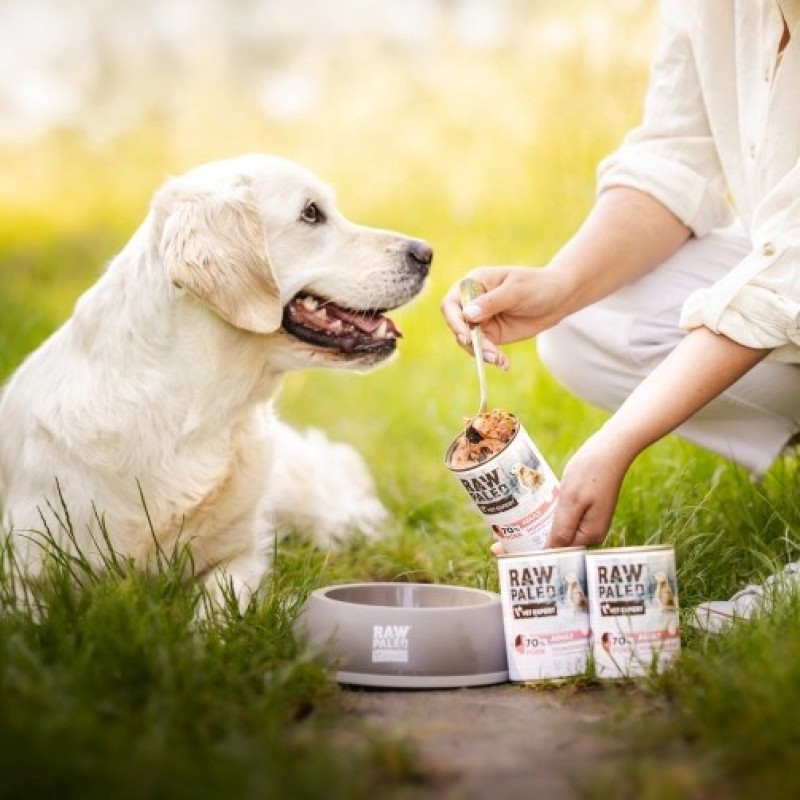 RAW PALEO Adult Monoprotein Pork - wet dog food - 400 g RAW PALEO Adult Monoprotein Pork - wet dog food - 400 g