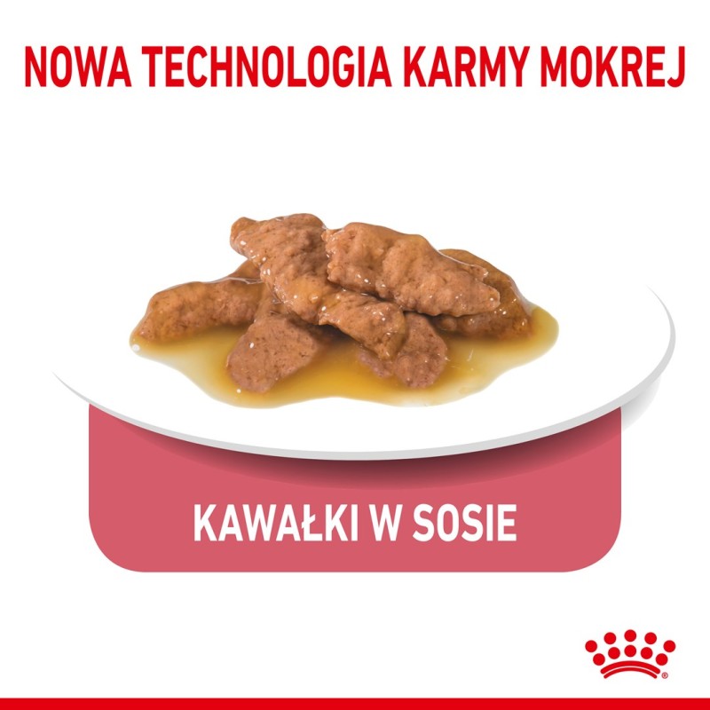 ROYAL CANIN Indoor Sterilized - Wet food for adult cats - Chunks in sauce 12x85 g ROYAL CANIN Indoor Sterilized - Wet food for adult cats - Chunks in sauce 12x85 g