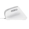 Trust Bayo II mouse Office Right-hand USB Type-A Optical 2400 DPI Trust Bayo II mouse Office Right-hand USB Type-A Optical 2400 DPI