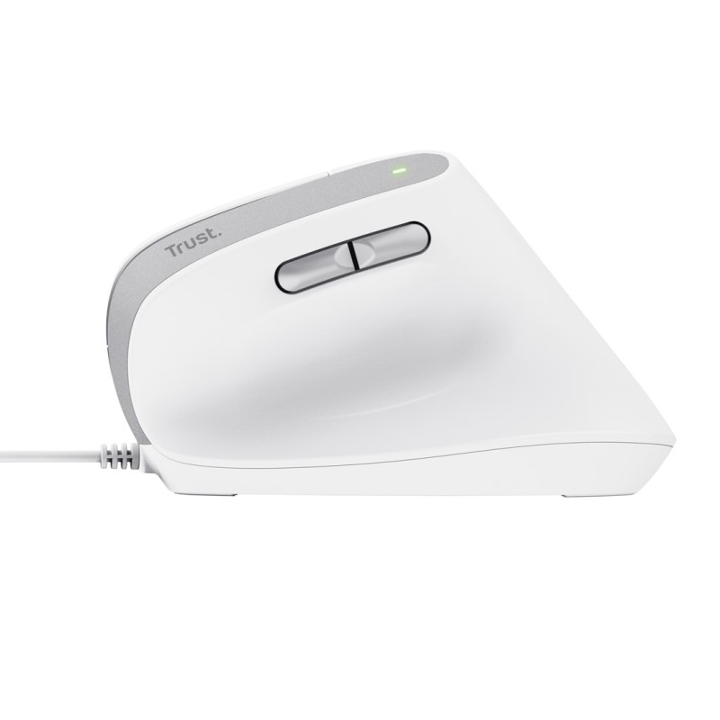 Trust Bayo II mouse Office Right-hand USB Type-A Optical 2400 DPI Trust Bayo II mouse Office Right-hand USB Type-A Optical 2400 DPI
