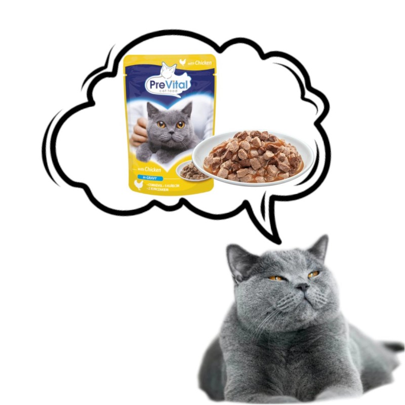 PREVITAL Chicken in gravy - wet cat food - 100g PREVITAL Chicken in gravy - wet cat food - 100g