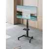 Gembird TVS-55T-01 TV floor stand with caster wheels (tilt), 32 Gembird TVS-55T-01 TV floor stand with caster wheels (tilt), 32