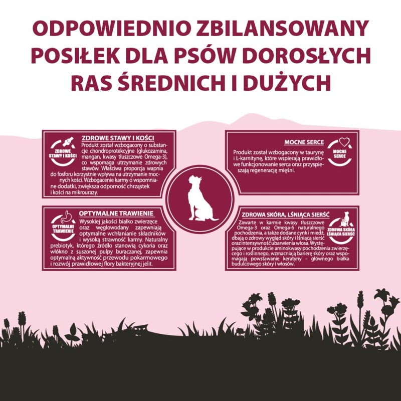 PUPIL Premium Medium and large breeds Rich in beef - dry dog food - 12kg