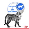 ROYAL CANIN FHN Indoor jelly - wet food for adult cats - 12x85g ROYAL CANIN FHN Indoor jelly - wet food for adult cats - 12x85g