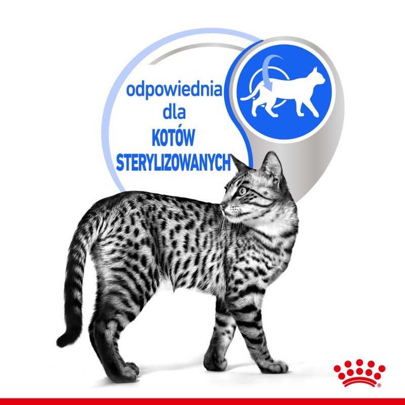 ROYAL CANIN FHN Indoor jelly - wet food for adult cats - 12x85g ROYAL CANIN FHN Indoor jelly - wet food for adult cats - 12x85g