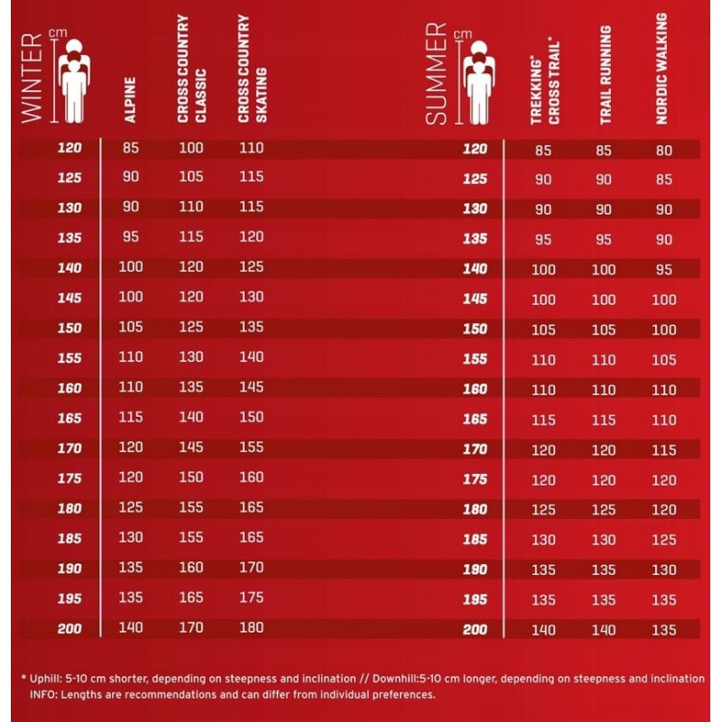 LEKI BOLD LITE S black 115 poles