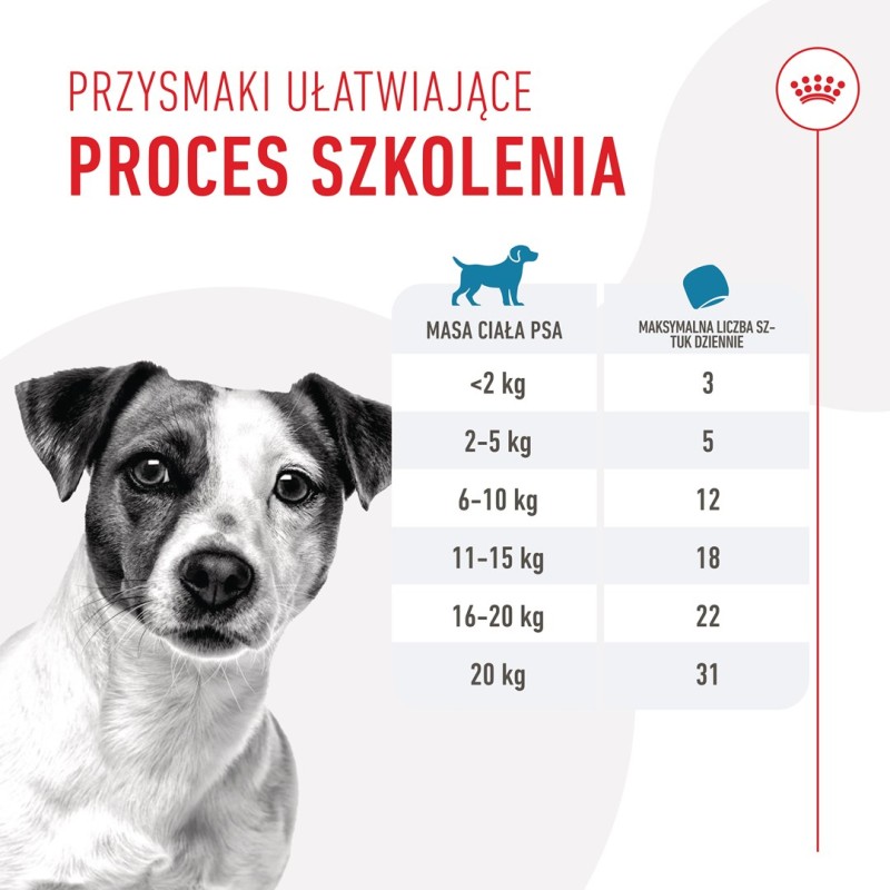 ROYAL CANIN Training Treats - dog treat - 110g ROYAL CANIN Training Treats - dog treat - 110g