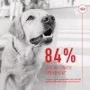 BULT Jelito cienkie wieprzowe dla psa 100g BULT Jelito cienkie wieprzowe dla psa 100g