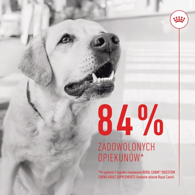 BULT Jelito cienkie wieprzowe dla psa 100g BULT Jelito cienkie wieprzowe dla psa 100g