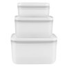 Set of 3 Plastic Containers Zwilling Fresh & Save 36804-003-0 Set of 3 Plastic Containers Zwilling Fresh & Save 36804-003-0