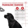 ROYAL CANIN Supplements Dog Immunity & Digest Puppy - dog vitamins - 100g
