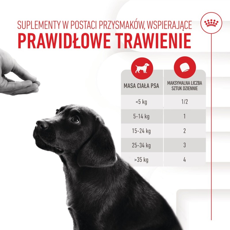 ROYAL CANIN Supplements Dog Immunity & Digest Puppy - dog vitamins - 100g ROYAL CANIN Supplements Dog Immunity & Digest Puppy - dog vitamins - 100g