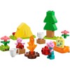 LEGO DUPLO 10452 Camping Trip LEGO DUPLO 10452 Camping Trip