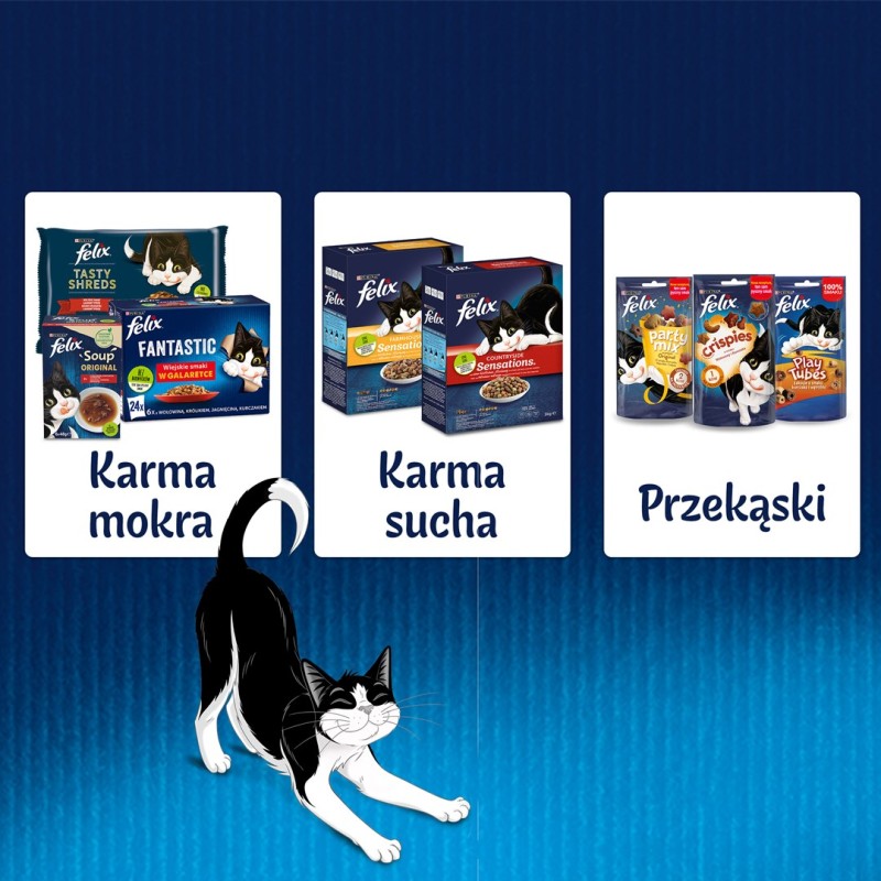 BRIT Care Fillets in Jelly - trout and cod fillets in jelly - wet cat food - 85 g BRIT Care Fillets in Jelly - trout and cod fillets in jelly - wet cat food - 85 g