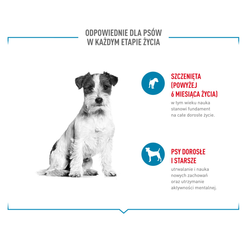 ROYAL CANIN Training Treats - dog treat - 110g ROYAL CANIN Training Treats - dog treat - 110g