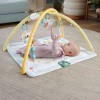 Fisher-Price Simply Senses Newborn Gym Baby Activity Mat with 6 Sensory Toys Fisher-Price Simply Senses Newborn Gym Baby Activity Mat with 6 Sensory Toys