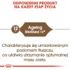 Royal Canin Senior Ageing Sterilised 12+ dry cat food Corn,Poultry,Vegetable 2 kg Royal Canin Senior Ageing Sterilised 12+ dry cat food Corn,Poultry,Vegetable 2 kg