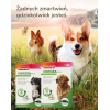 Bozita - Hair & Skin Wheat free Salmon 2 kg Bozita - Hair & Skin Wheat free Salmon 2 kg
