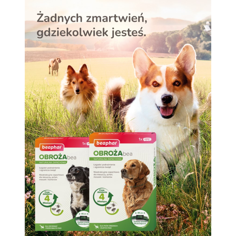 Bozita - Hair & Skin Wheat free Salmon 2 kg Bozita - Hair & Skin Wheat free Salmon 2 kg