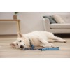 MACED Knotted bone with duck - dog chew - 500g