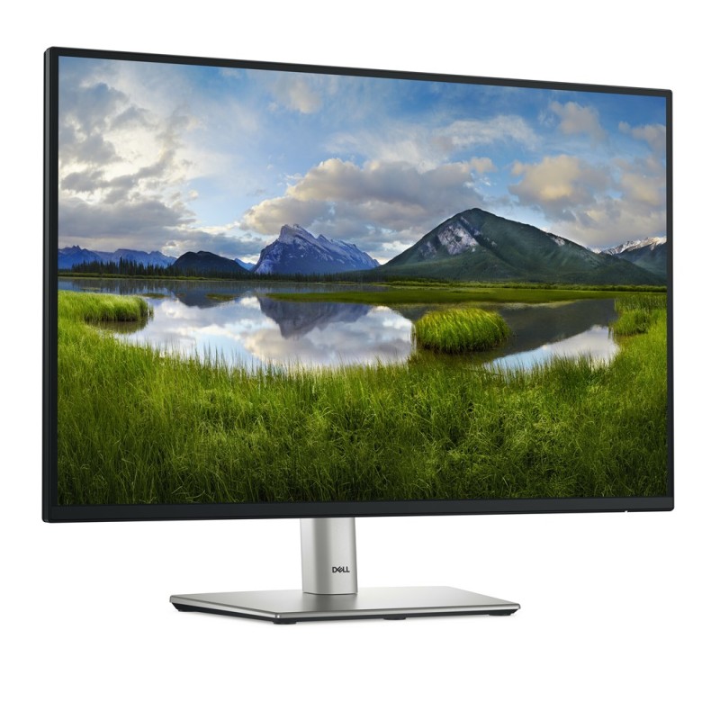DELL P Series P2425 computer monitor 61.1 cm (24.1 DELL P Series P2425 computer monitor 61.1 cm (24.1