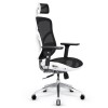 Diablo V-BASIC gaming chair white and black Diablo V-BASIC gaming chair white and black