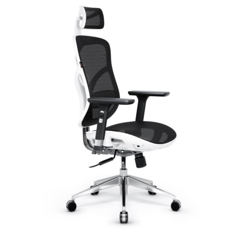 Diablo V-BASIC gaming chair white and black Diablo V-BASIC gaming chair white and black
