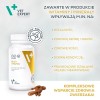 WIEJSKA ZAGRODA Beef with Wild Boar L – dry dog food – 20kg WIEJSKA ZAGRODA Beef with Wild Boar L – dry dog food – 20kg