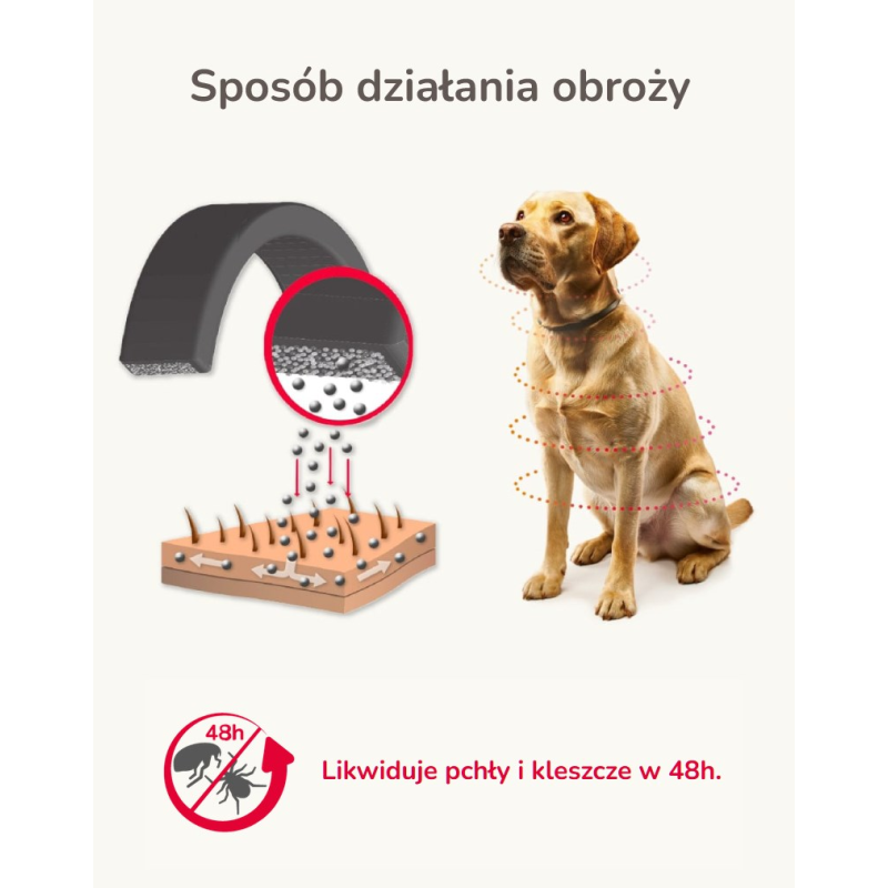BOZITA Large Wheat free Salmon - dry food for large and long haired cats - 2kg BOZITA Large Wheat free Salmon - dry food for large and long haired cats - 2kg