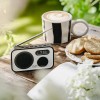 Radio ADLER AD 1906 Radio ADLER AD 1906