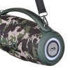 HOCO HA4 Surge Portable Speaker Blutooth/ FM/ TF card/ USB memory stick/ AUX 2 x 20 W Green