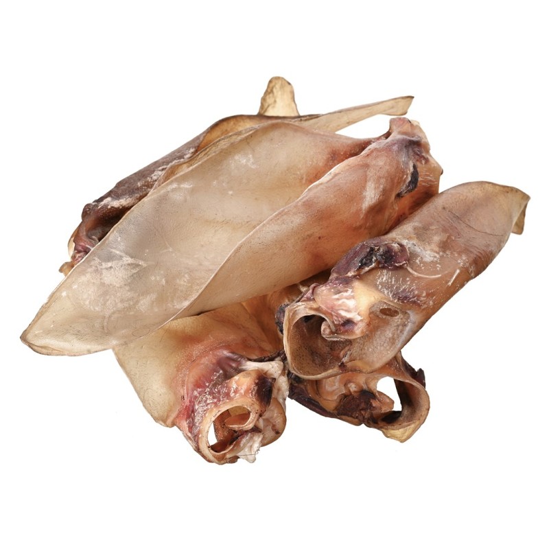 PETITTO Beef ear with cartilage - dog treat - 10