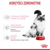 Royal Canin BABYCAT INSTINCTIVE - Wet cat food - 195 g Royal Canin BABYCAT INSTINCTIVE - Wet cat food - 195 g