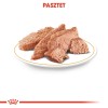 Taste of The Wild High Prairie 5.6 kg