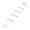 Rehabilitation bed ladder fluorescent