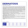 VET EXPERT Veterinary Diet Dermatosis Dog Salmon & Potato - dry dog food - 2 kg VET EXPERT Veterinary Diet Dermatosis Dog Salmon & Potato - dry dog food - 2 kg