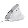 Trust Bayo II mouse Office Right-hand USB Type-A Optical 2400 DPI Trust Bayo II mouse Office Right-hand USB Type-A Optical 2400 DPI